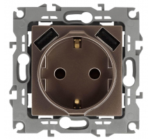 Розетка ЭРА Intro Solo Schuko P+E 16A 250V со шторками 2хUSB бронза 12-4109-13 Б0047847