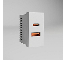 Модульная розетка USB тип A+C 45*22,5 Werkel белый W1272701 4630644890062