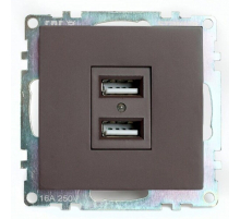 Розетка двухместная USB Stekker Катрин шоколад GLS10-7115-04 49027
