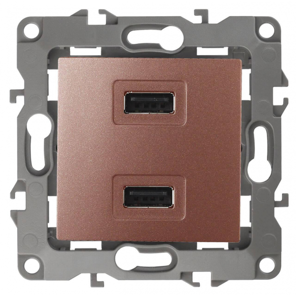 Устройство зарядное USB ЭРА 12 5V-2,1A 12-4110-14 Б0027499 Устройство зарядное USB ЭРА 12 5V-2,1A 12-4110-14 Б0027499