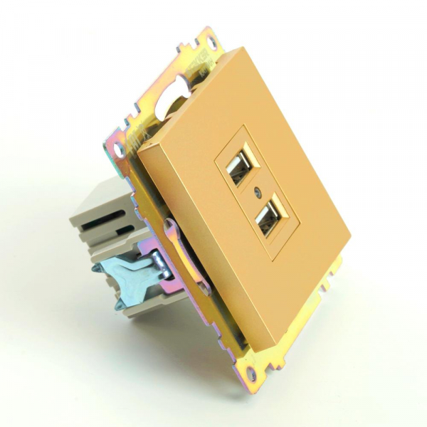 Розетка 2хUSB Stekker Катрин золото GLS10-7115-08 49229 Розетка 2хUSB Stekker Катрин золото GLS10-7115-08 49229
