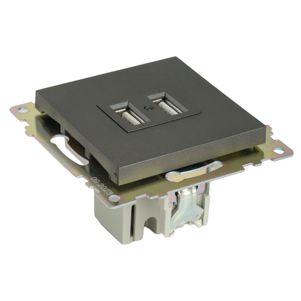 Розетка 2хUSB Stekker Катрин графит GLS10-7115-06 49422