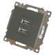 Розетка 2хUSB Stekker Катрин графит GLS10-7115-06 49422