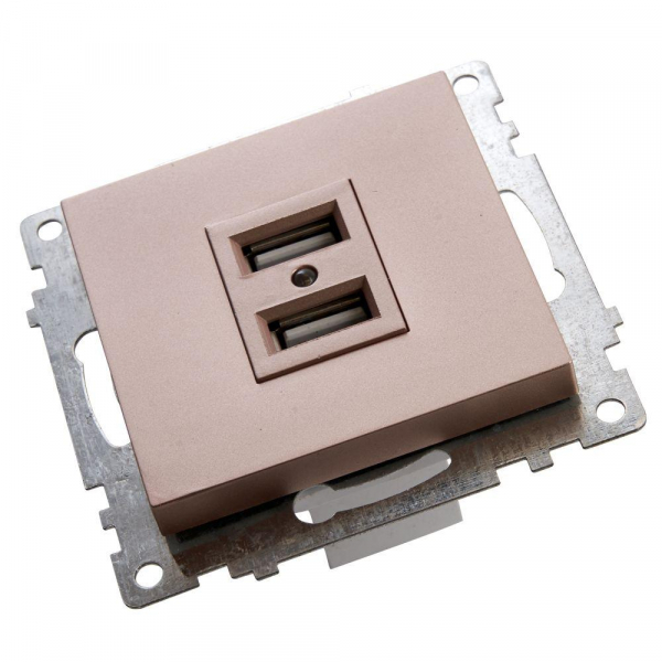 Розетка 2хUSB Stekker Катрин шампань GLS10-7115-02 39602 Розетка 2хUSB Stekker Катрин шампань GLS10-7115-02 39602
