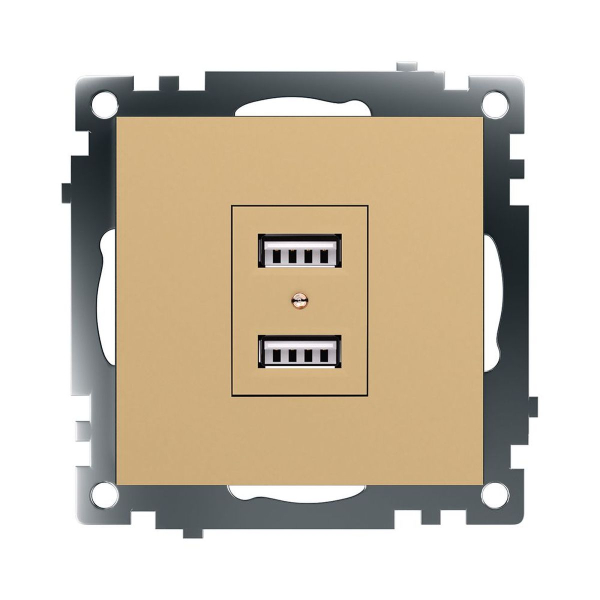Розетка 2хUSB Stekker Катрин золото GLS10-7115-08 49229