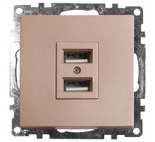 Розетка 2хUSB Stekker Катрин шампань GLS10-7115-02 39602