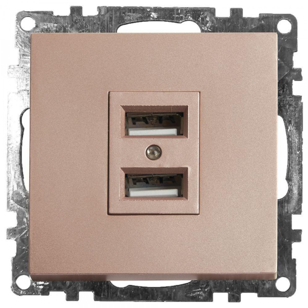 Розетка 2хUSB Stekker Катрин шампань GLS10-7115-02 39602 Розетка 2хUSB Stekker Катрин шампань GLS10-7115-02 39602