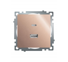 Розетка 2-местная USB + type C (механизм), STEKKER GLS10-7116-02, 250B, 3A, max 20W, серия Катрин, шампань 50056