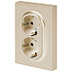 Розетка ЭРА Arktik 16-2105-04 двойная с заземлением 2X2P+E Schuko со шторками 16А-250В шампань Б0070457
