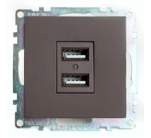 Розетка двухместная USB Stekker Катрин шоколад GLS10-7115-04 49027