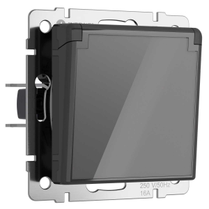 Розетка Werkel влагозащищенная с заземлением с защитой крышкой и шторками графит акрил) W1171244 4690389197529