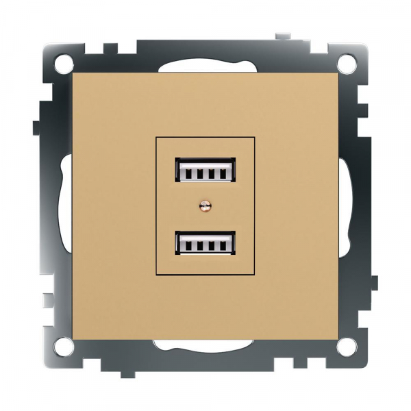 Розетка 2хUSB Stekker Катрин золото GLS10-7115-08 49229 Розетка 2хUSB Stekker Катрин золото GLS10-7115-08 49229