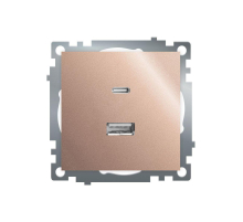 Розетка 2-местная USB + type C (механизм), STEKKER GLS10-7116-02, 250B, 3A, max 20W, серия Катрин, шампань 50056