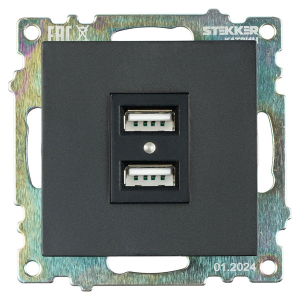 Розетка 2хUSB Stekker Катрин черный GLS10-7115-05 39616