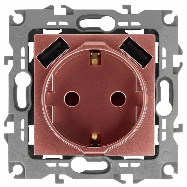 Розетка ЭРА Intro Solo Schuko P+E 16A 250V со шторками 2хUSB медь 12-4109-14 Б0047848 Розетка ЭРА Intro Solo Schuko P+E 16A 250V со шторками 2хUSB медь 12-4109-14 Б0047848