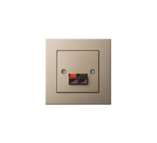 Аудиорозетка Liregus Epsilon шампань 28-324