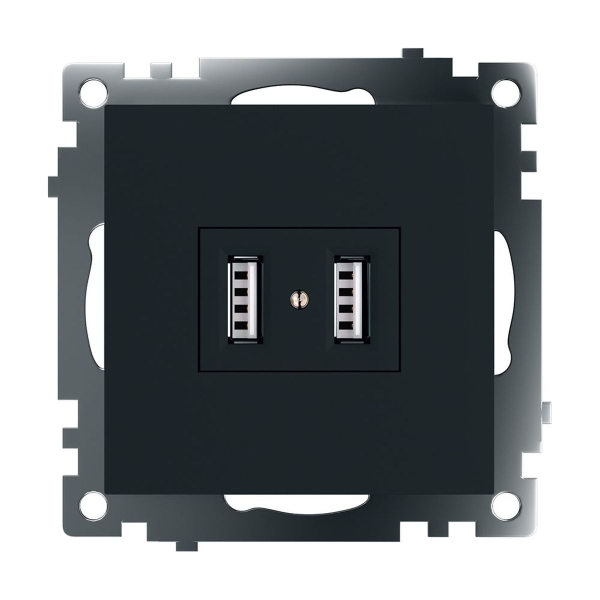 Розетка 2хUSB Stekker Катрин черный GLS10-7115-05 39616
