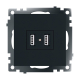 Розетка 2хUSB Stekker Катрин черный GLS10-7115-05 39616