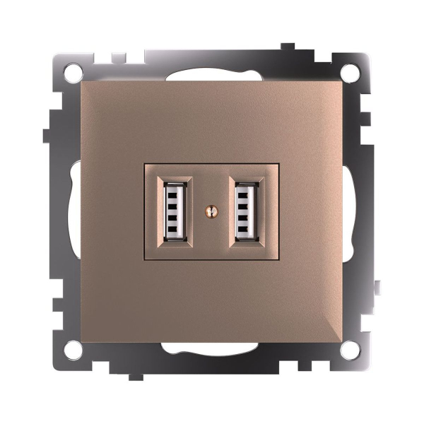 Розетка 2хUSB Stekker Катрин шампань GLS10-7115-02 39602