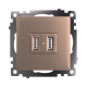 Розетка 2хUSB Stekker Катрин шампань GLS10-7115-02 39602