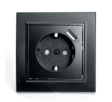Розетка 2P+PE/USB Stekker Эрна со шторками черный PST16-9011-03 39480