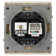 Розетка ЭРА Arktik 16-3110-04 комбинированная RJ45+TV шампань Б0070497