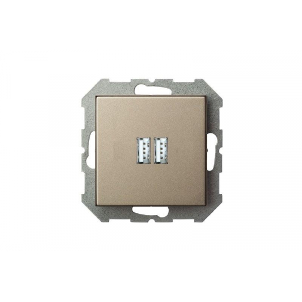 Розетка 2xUSB Liregus Epsilon шампань 28-3242 Розетка 2xUSB Liregus Epsilon шампань 28-3242
