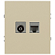 Розетка ЭРА Arktik 16-3110-04 комбинированная RJ45+TV шампань Б0070497