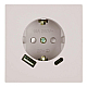 Розетка 1-местная з/ш с/з 16А + USB + Type C (механизм) Stekker 250В 20W Мия RST16-3119-08 пудровый жемчуг 50482