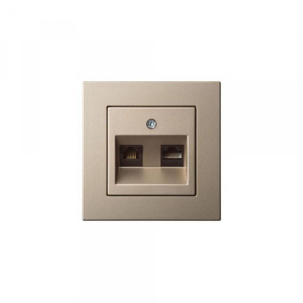 Розетка RJ45/RJ11 Liregus Epsilon шампань 28-3165 Розетка RJ45/RJ11 Liregus Epsilon шампань 28-3165