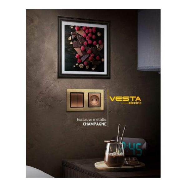 Розетка LAN/USB Vesta-Electric Exclusive Champagne Metallic шампань FRZ00050502BSH Розетка LAN/USB Vesta-Electric Exclusive Champagne Metallic шампань FRZ00050502BSH