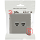 Розетка ЭРА Arktik 16-3108-07 информационная двойная 2XRJ45 титан Б0070490