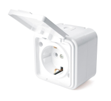 Розетка 2P Stekker Брест с крышкой белый PST16-20-44 39691