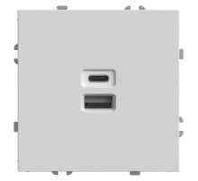 Розетка двухместная USB + Type C Stekker Эмили белый фарфор RST10-5115-01 49879