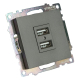Розетка 2хUSB Stekker Катрин графит GLS10-7115-06 49422