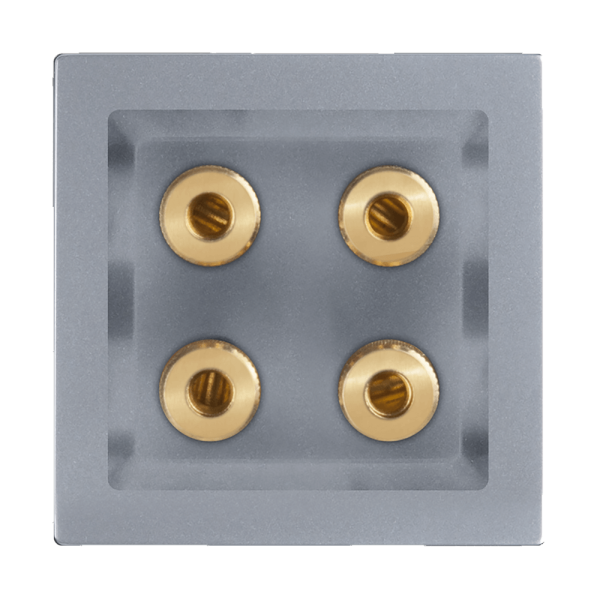 Акустическая розетка Werkel х4 серебряный WL06-AUDIOx4 4690389059292