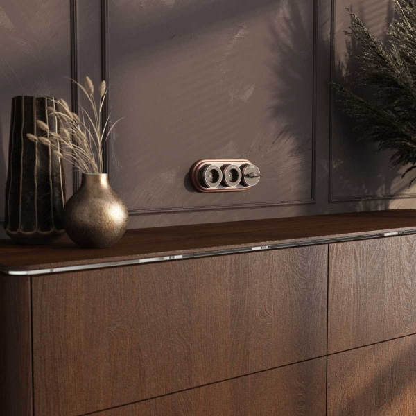 Розетка с заземлением Werkel Vintage мокко матовый/хром W5871052 4690389174711