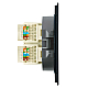Розетка компьютерная 2-местная RJ-45 (механизм) Stekker Мия RST00-3111-05 черный бархат 50451