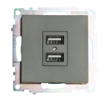 Розетка 2хUSB Stekker Катрин графит GLS10-7115-06 49422