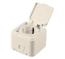 Розетка 2P+PE Stekker Брест с крышкой слоновая кость PST16-21-44 49058