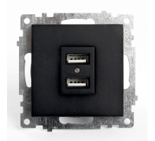 Розетка 2хUSB Stekker Катрин черный GLS10-7115-05 39616