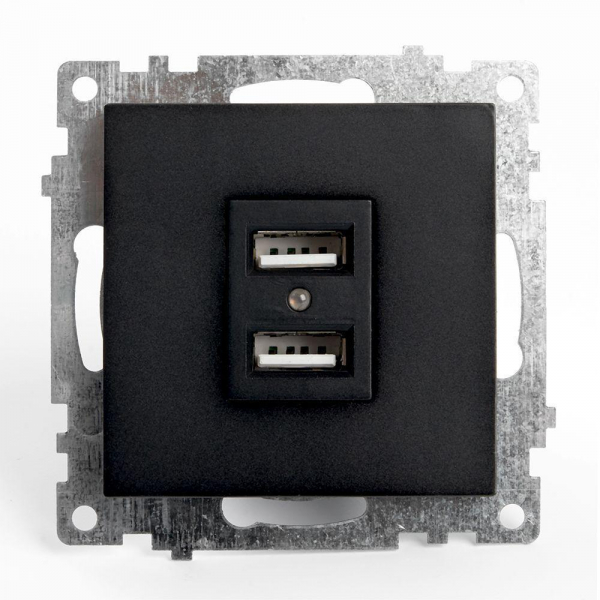 Розетка 2хUSB Stekker Катрин черный GLS10-7115-05 39616 Розетка 2хUSB Stekker Катрин черный GLS10-7115-05 39616