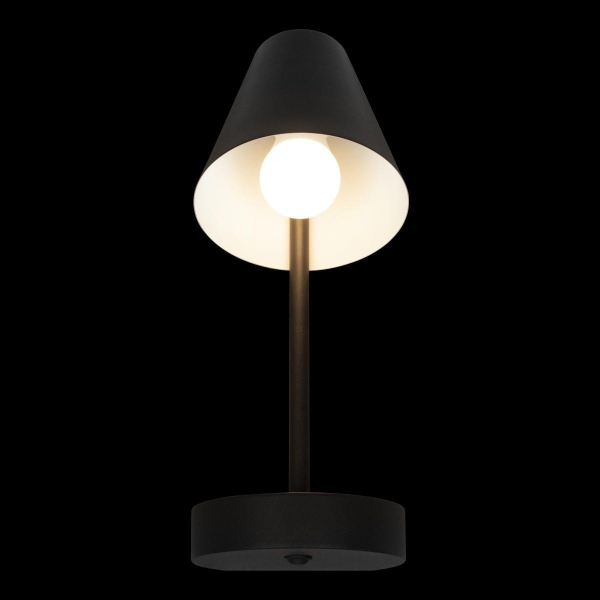 Бра Loft IT Shelf 10216/1W Black Бра Loft IT Shelf 10216/1W Black