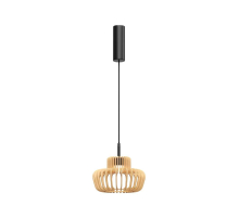 Подвесной светильник Maytoni MOD465PL-L12BK2