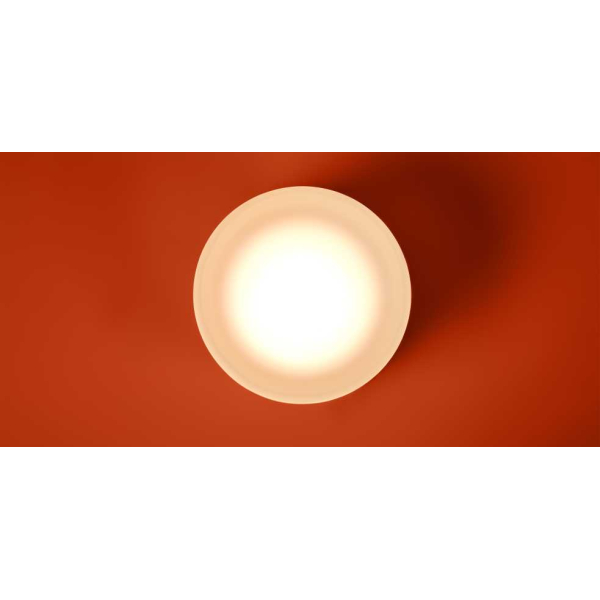 Бра Freya FR5603WL-L8W