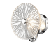 Бра Vele Luce Sirena VL3203W01