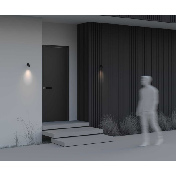 Бра Maytoni Outdoor O477WL-L2GF3K