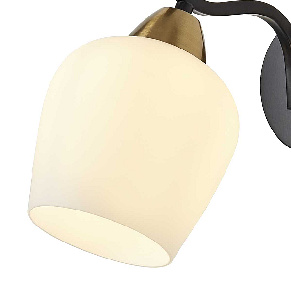 Бра Freya Shadow FR5422WL-01BZ