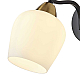 Бра Freya Shadow FR5422WL-01BZ