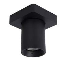 Спот Lucide Nigel 09929/05/30